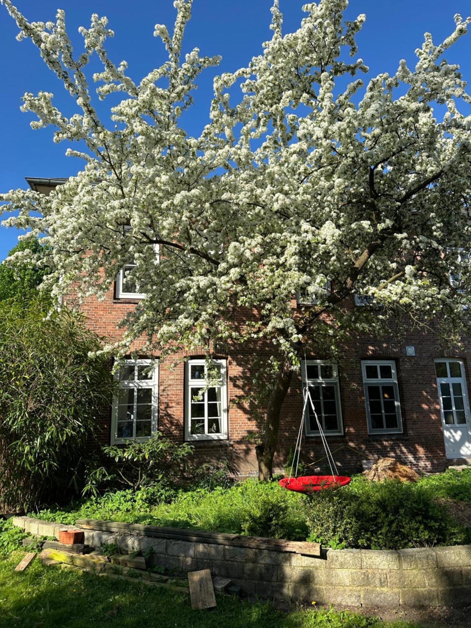Altes Pastorat Bed and Breakfast Barmstedt Eksteriør billede