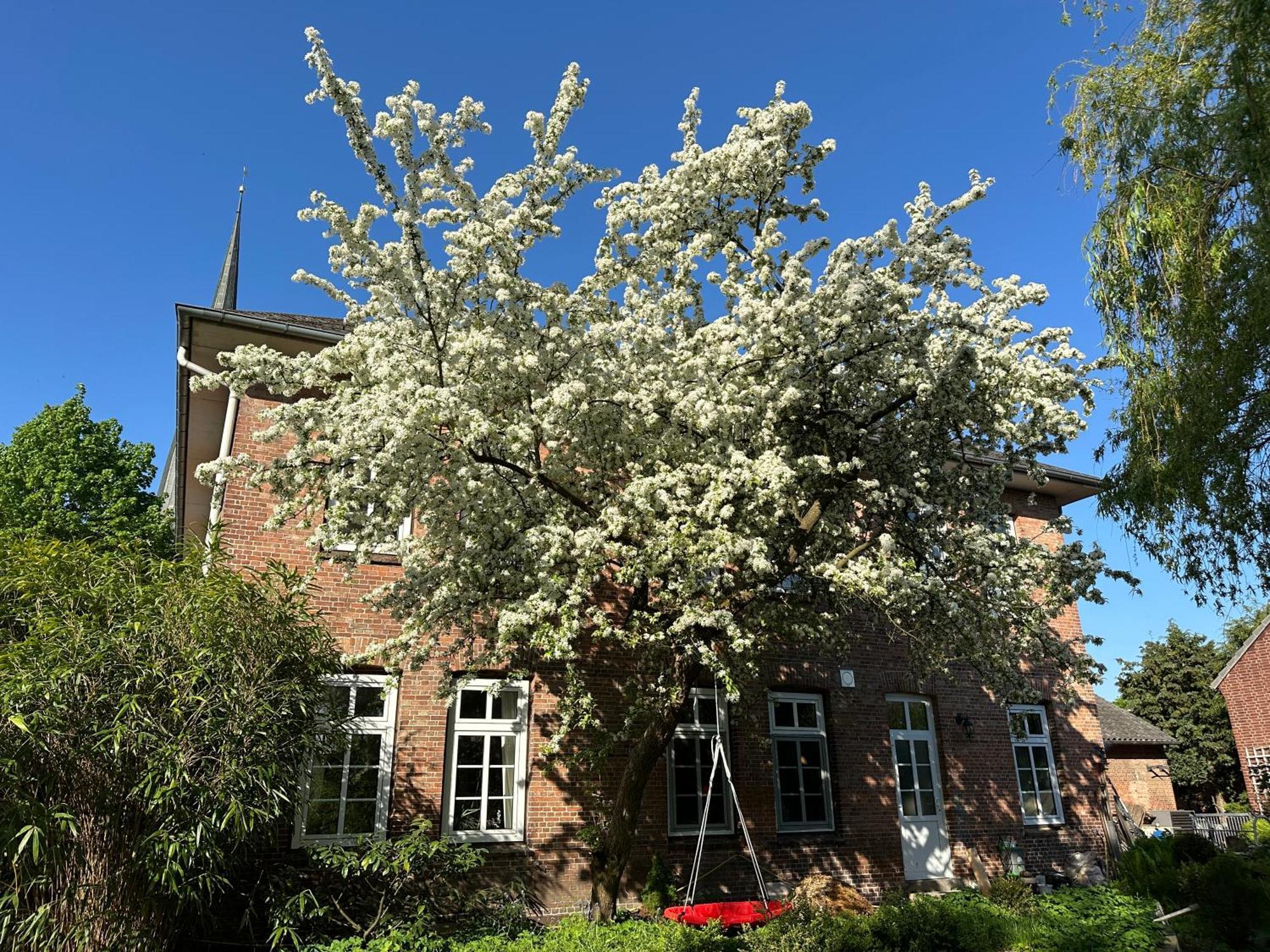 Altes Pastorat Bed and Breakfast Barmstedt Eksteriør billede